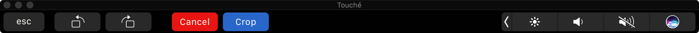 touchbar crop.acorn